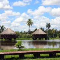 depositphotos_8287247-stock-photo-guama-lake-in-cuba-ii 