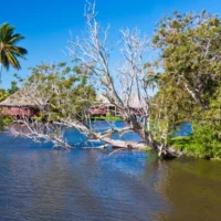 depositphotos_8483511-stock-photo-thatched-houses-in-the-cuban 